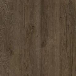 Lifeproof 8.7 in. W Gainesville Oak Click Lock Luxury Vinyl Plank Flooring (20.06 sq. ft./case)