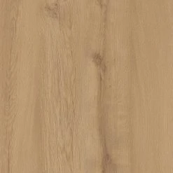 Lifeproof 8.7 in. W Hardeman Oak Click Lock Luxury Vinyl Plank Flooring (21.45 sq. ft./case)